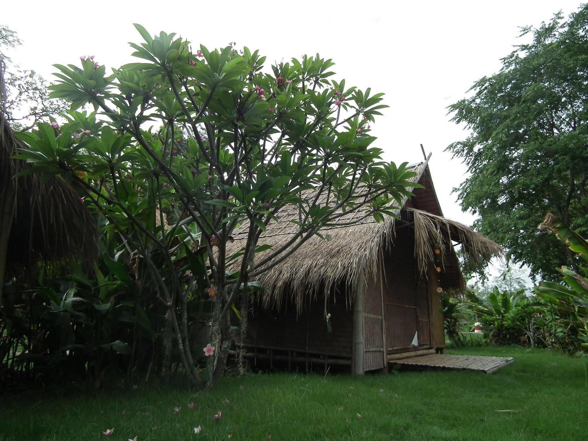 Pai Bamboo Hut Hotel Exterior foto