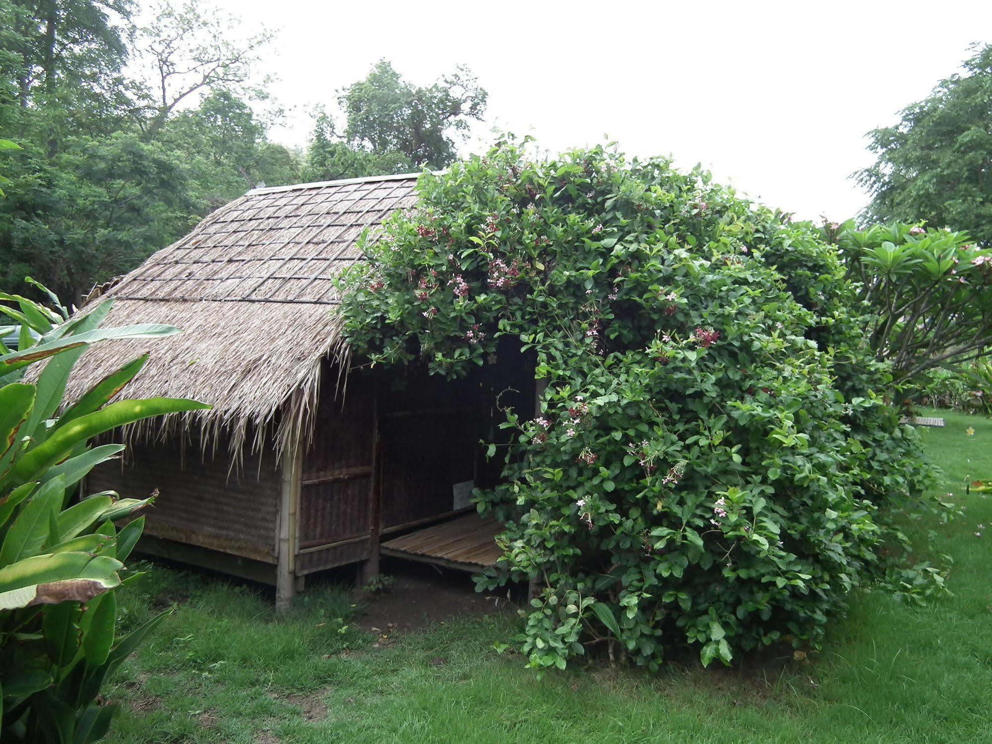 Pai Bamboo Hut Hotel Exterior foto